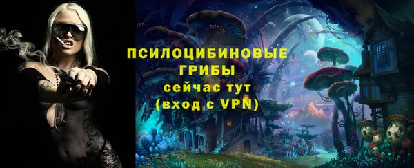 прущий лед Надым