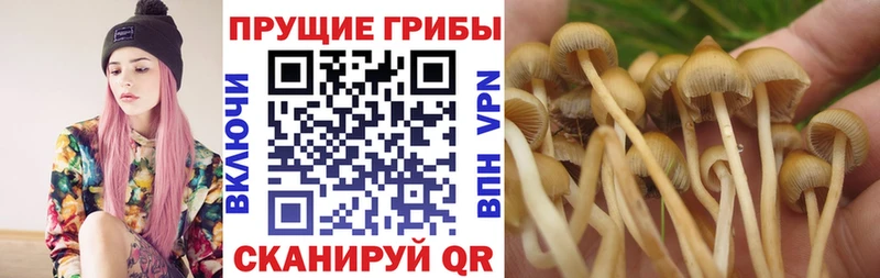 Псилоцибиновые грибы мухоморы  Злынка 