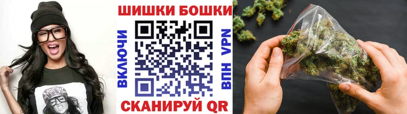 где купить наркоту  Злынка  Каннабис конопля 